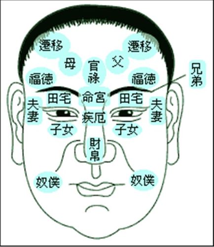 解读:面相十二宫之命宫在戌的命理