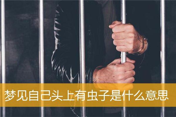 梦见头上长虫子是什么意思