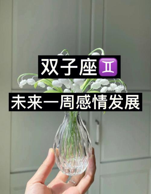 如何让双子座回心转意,双子座回头的指数有多少
