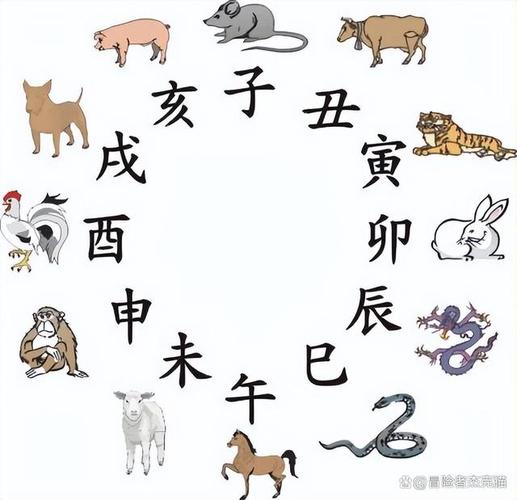 八字算命:十二地支与十二生肖