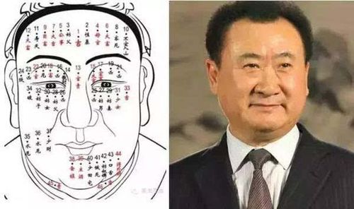 男人极贵之人面相