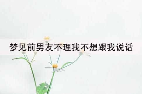 梦见前男友不理我有什么征兆