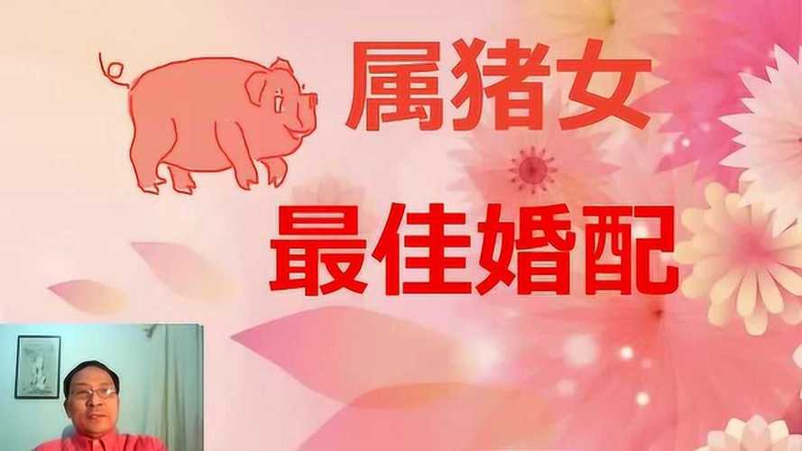 女属猪的最佳婚配是什么