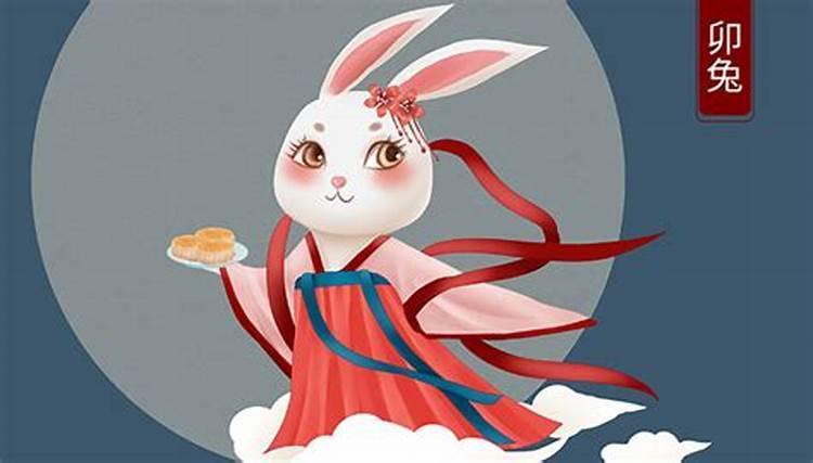 我属兔老婆属猪财运运势发展