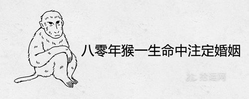 八零年猴一生命中注定婚姻运程如何