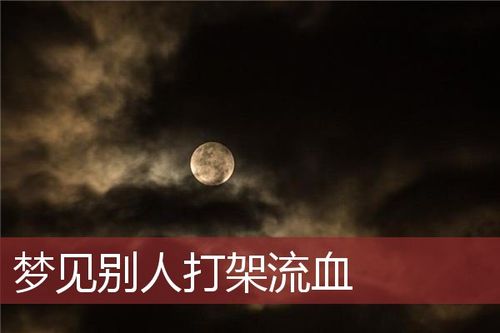 梦见打架把别人打出血