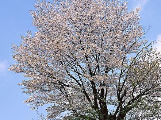 进入6月中旬,4属相贵人合作,机会多,工作一帆风顺,收获惊喜