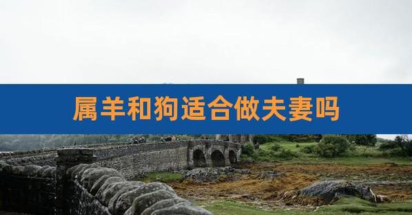 1979年属羊人和1982年属狗婚配如何