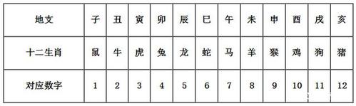 地支和生肖的关系