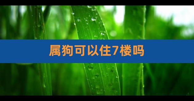 生肖属狗的住几层楼最好?