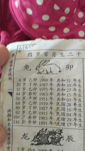 属兔是几岁