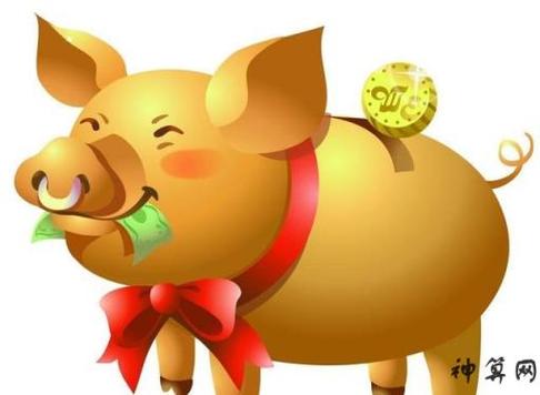 旺运改运 属猪生肖改运方法