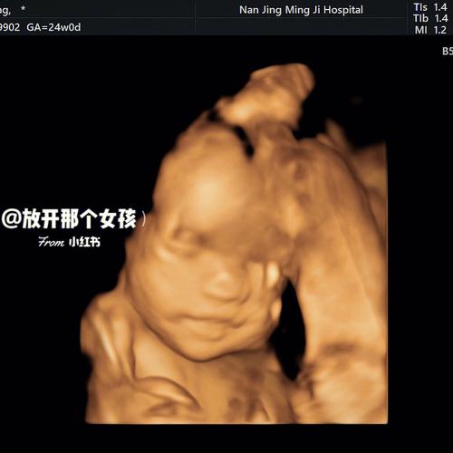 四维游戏叫什么名字