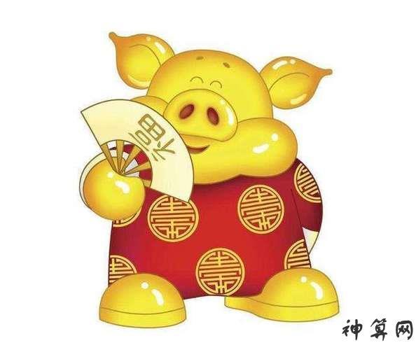 属猪人都因为什么原因会放弃工作