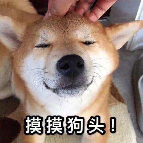 梦见爸爸拿着狗头