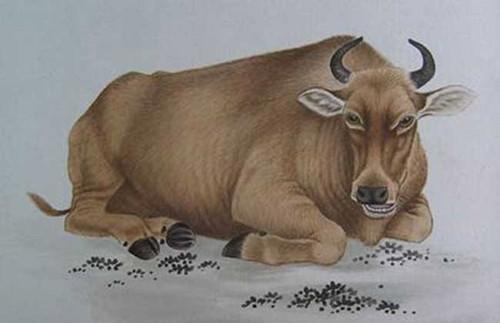 生肖属鼠的男人2020年事业运,迎来升职好时机,以稳定发展为主