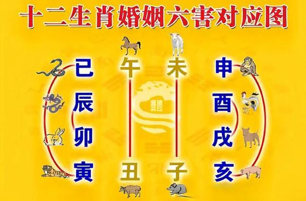 属相相克,容易导致婚姻不顺,家庭不和的6对生肖!