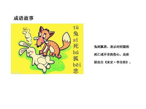兔死狐悲打一生肖