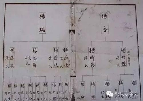 姓杨万字辈名字怎么选字取名比较好听