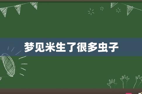 梦见米生了很多虫子是什么意思