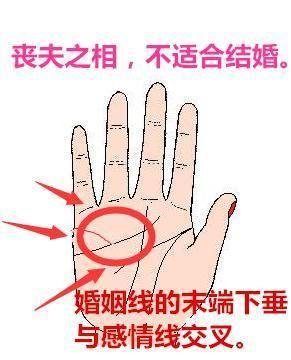 婚姻线下垂到感情线的人,夫妻之间往往不太和睦
