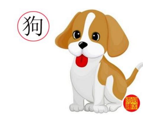 生肖狗2021年1月份的运势好不好