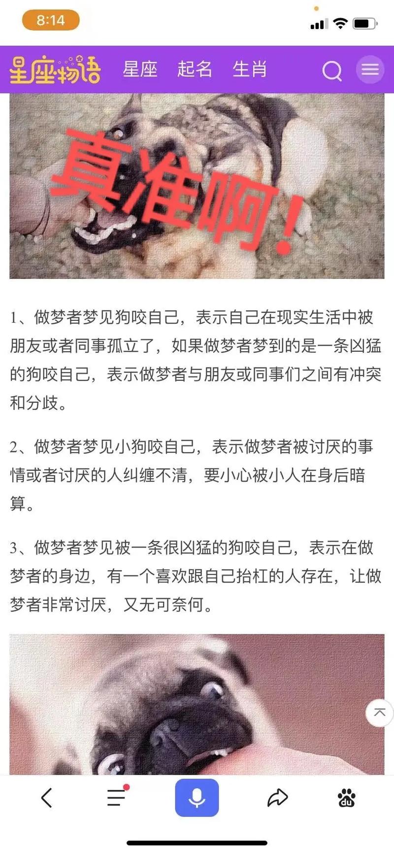 女人梦见狗咬自己