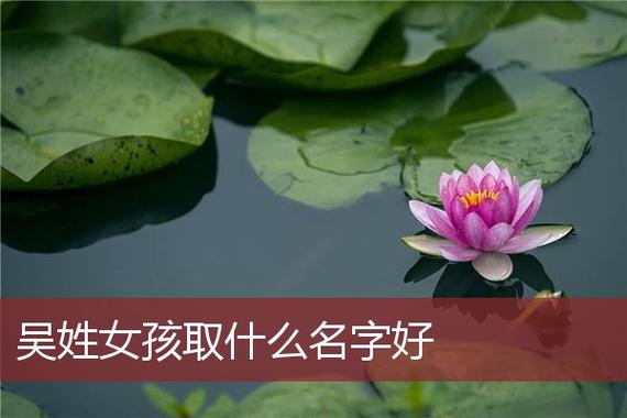吴姓五行缺木的女孩名字