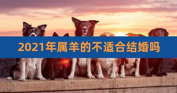 属鼠的和属羊2021年结婚怎么样
