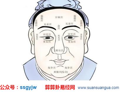 狮鼻的男人面相图片解析
