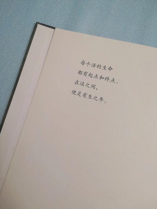 属猪的人有生之年会有一次艳遇吗?