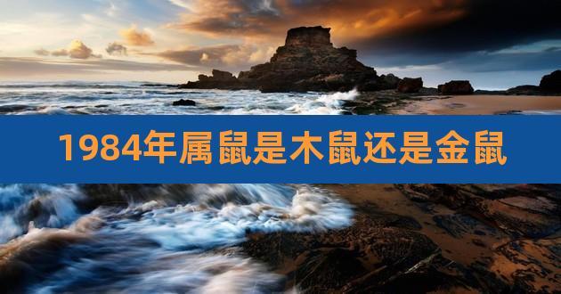 1984年到底是金命还是木命?84年出生的人运势如何?