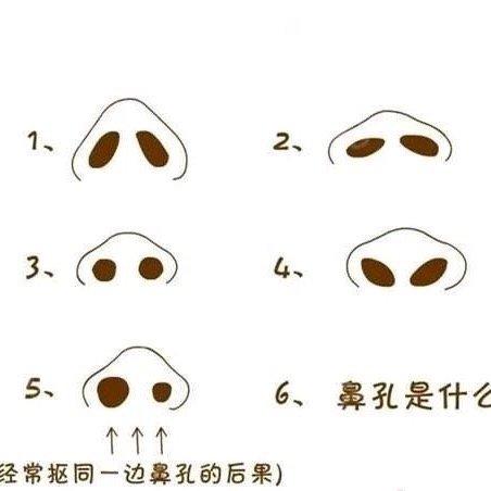 鼻孔的大小有哪些寓意吗?