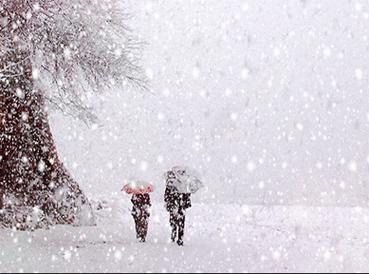 梦见雪很厚