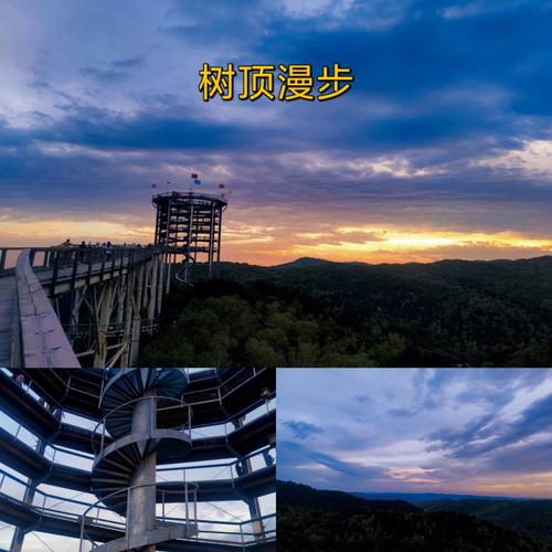 梦见登高、塔顶、树顶、山顶会怎么样