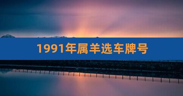 91年属羊车牌号字母哪个好