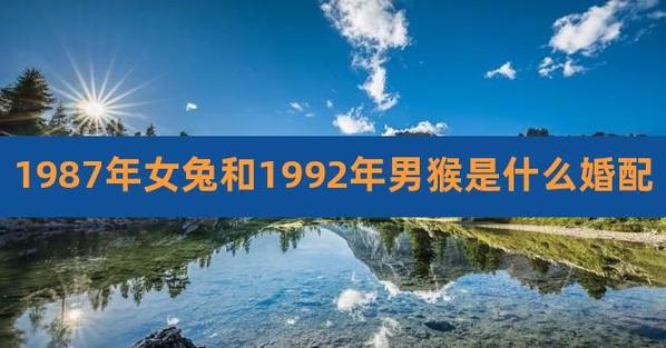 1992年和1987年婚姻