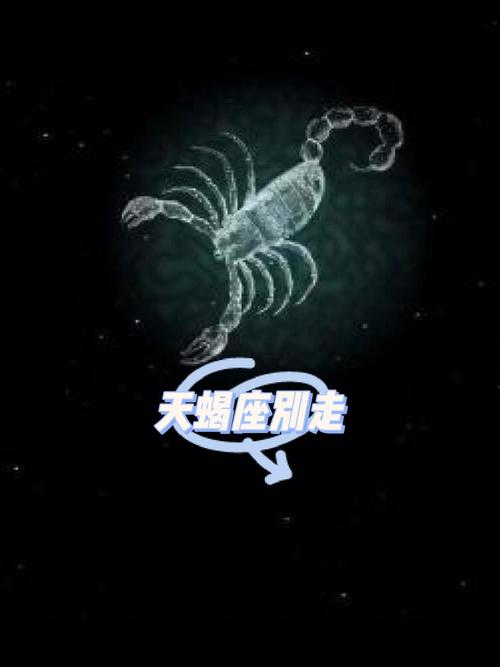 A型血天蝎座男难搞定,婚后更有责任感