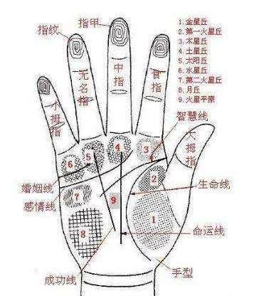 女人右手大拇指有痣图解