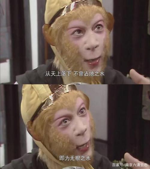 无根水怎么聚财
