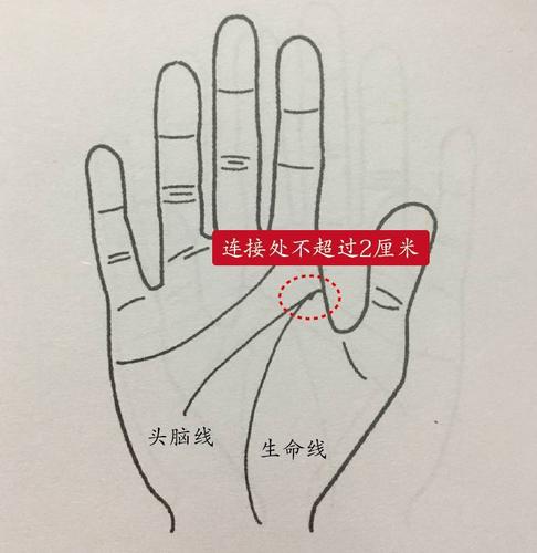 手相深度解析:头脑线