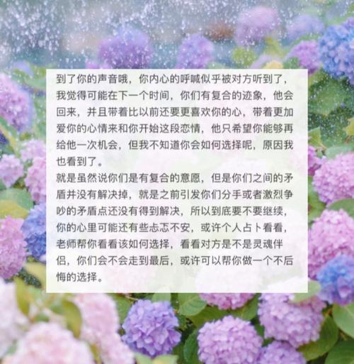 揭秘狮子座女生喜欢什么花