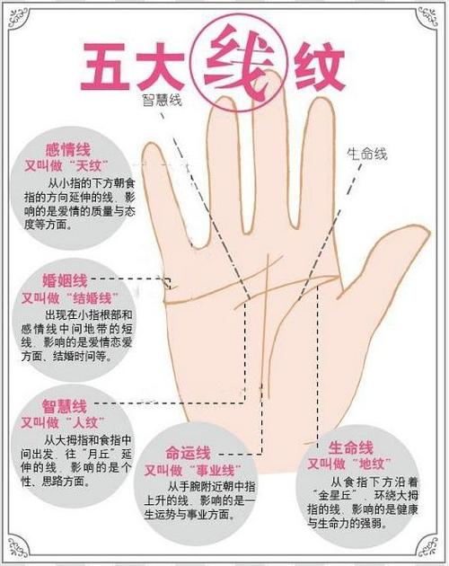 从手相算命图解的角度来分析一番
