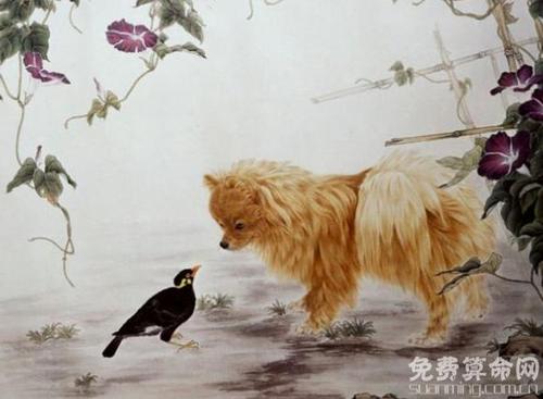 妻管严丈夫该如何面对属狗妻子的厉害
