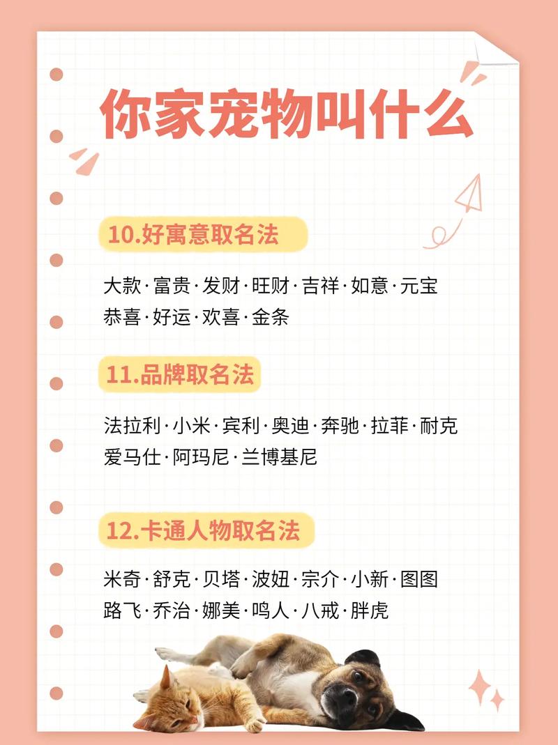 有什么可爱的宠物名字大全来看看吧