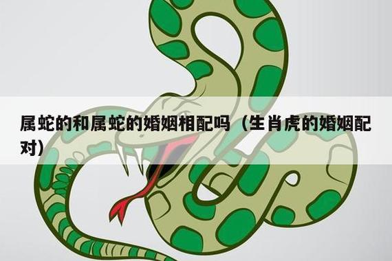 属蛇跟属蛇的相配吗