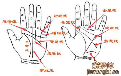 梦见看手相怎么回事