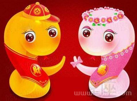 生肖配对查询(属兔和属蛇的相配吗)