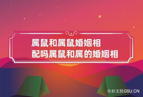 属鼠和属鼠相配吗,鼠和鼠合不合