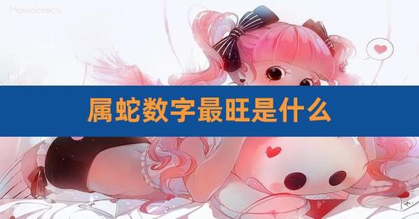 属蛇人永久吉利的数字